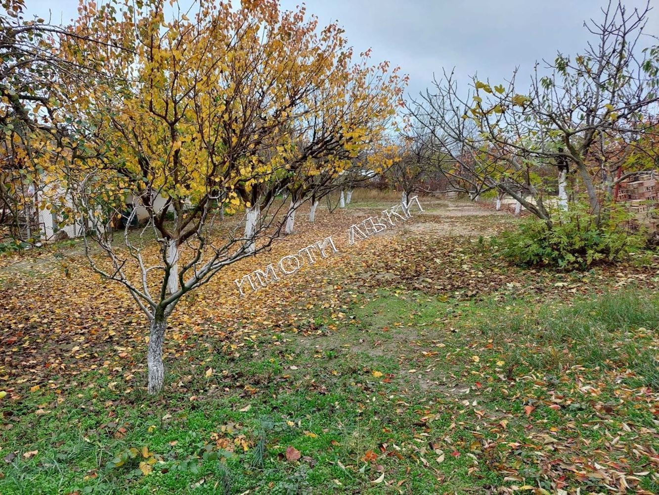 Варна обл. Къща 