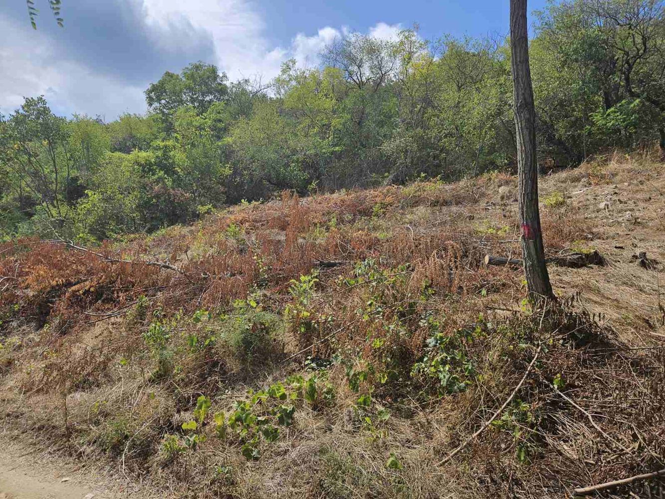 Парцел , м-т Горна Трака, Варна