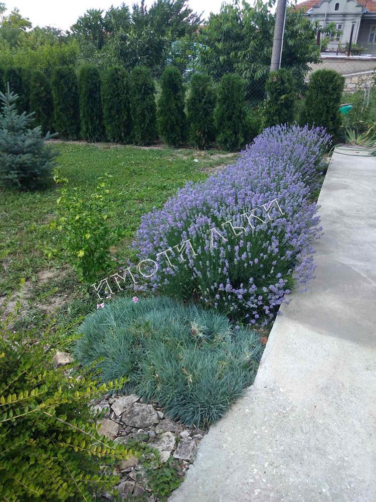 Къща , с.Чернево, Варна обл.
