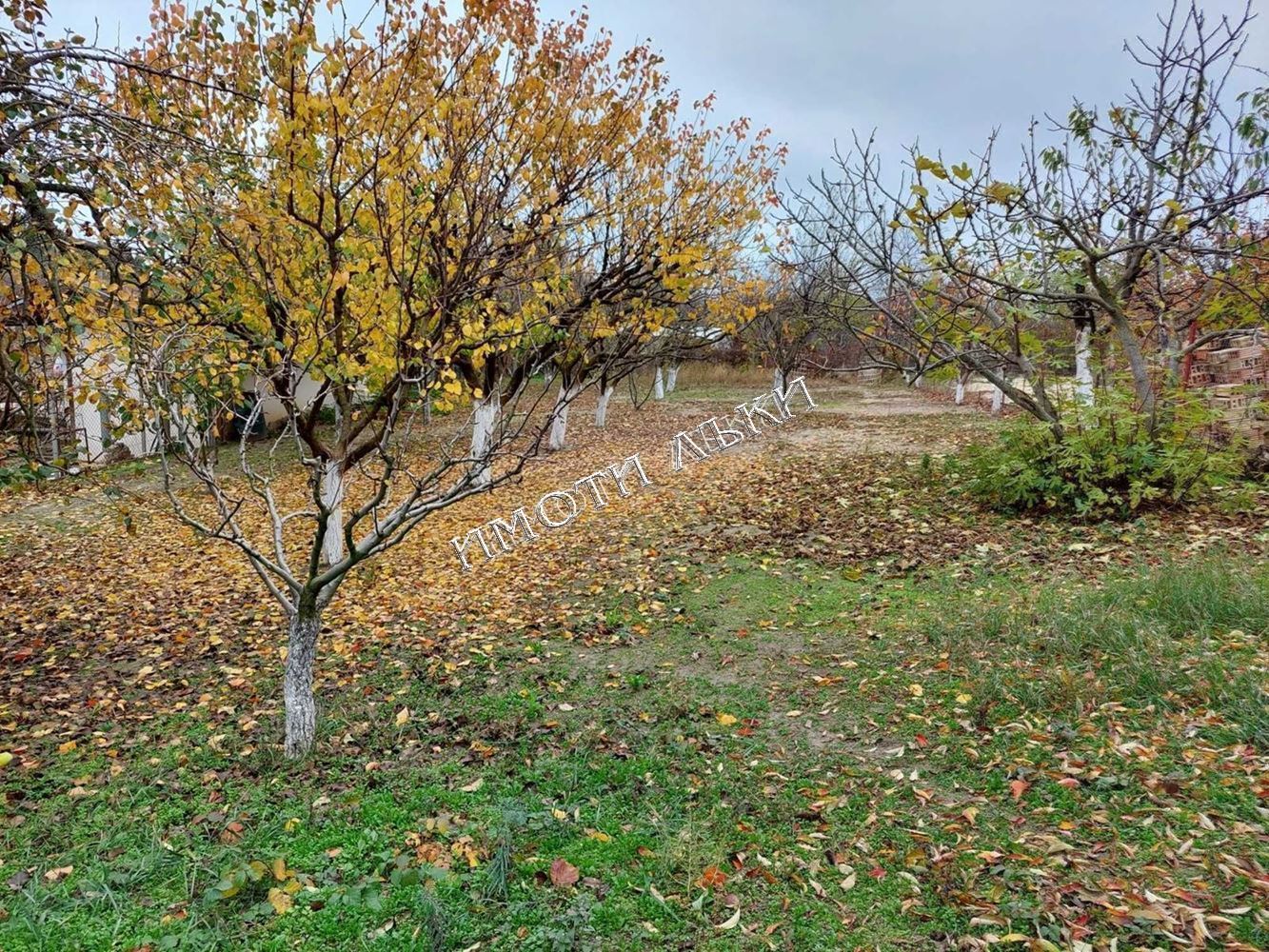 Варна обл. Парцел 
